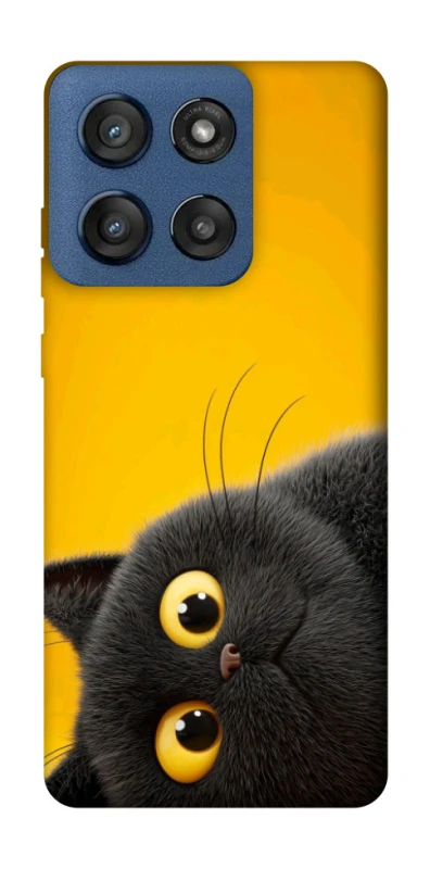 Чохол на Motorola Edge 60 Stylus This is Cat фото 1 з 1
