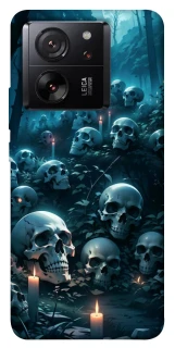 Чехол на Xiaomi 13T Pro Skulls v3 фото 1 из 1
