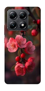 Чехол на Xiaomi 14T Flowers v28 фото 1 из 1
