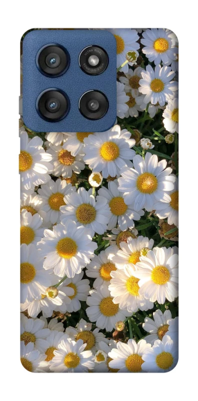 Чехол на Motorola Edge 60 Stylus Поле ромашек фото 1 из 1