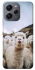 Чохол на Xiaomi Redmi 12 Лама фото 1 з 1