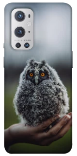 Чехол на OnePlus 9 Pro Совёнок фото 1 из 1