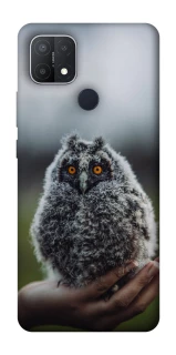 Чохол на Oppo A15s / A15 Совеня фото 1 з 1