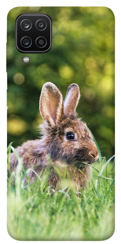 Чохол на Samsung Galaxy A12 Кролики фото 1 з 1