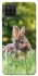 Чохол на Samsung Galaxy A12 Кролики фото 1 з 1