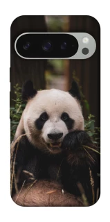 Чехол на Google Pixel 10 Pro XL Панда фото 1 из 1