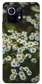Чохол на Xiaomi Mi 11 Ромашки v13 фото 1 з 1