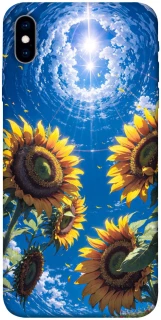 Чохол на Apple iPhone X (5.8") Sunflowers фото 1 з 1