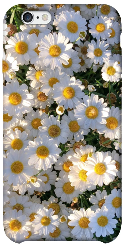 Чохол на Apple iPhone 6/6s (4.7") Поле ромашок фото 1 з 1