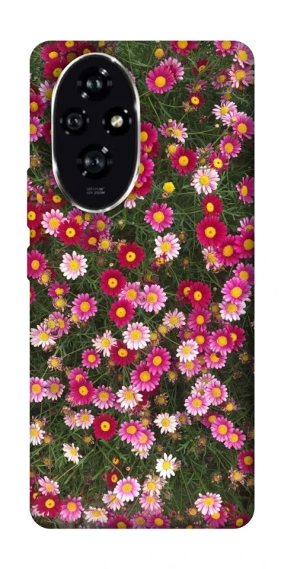 Чохол на Honor 200 Flowers v8 фото 1 з 1