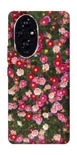 Чохол на Honor 200 Flowers v8 фото 1 з 1