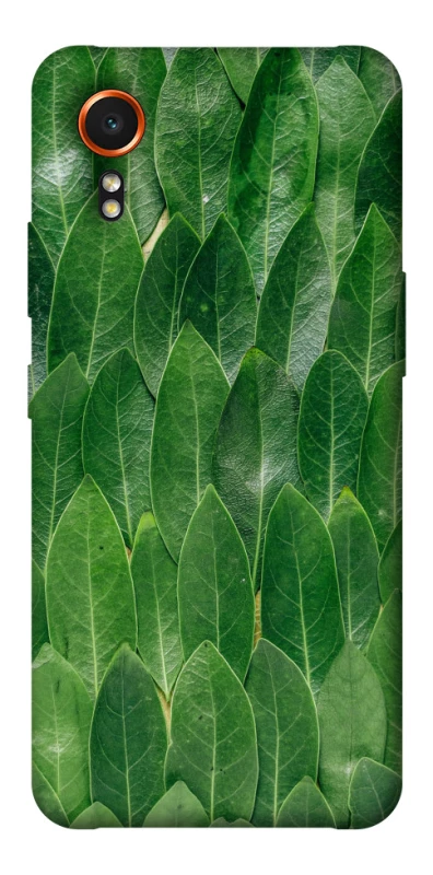 Чохол на Samsung Galaxy Xcover7 Листя фото 1 з 1