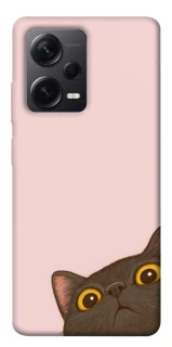 Чехол на Xiaomi Redmi Note 12 Pro 5G Peeping cat фото 1 Чехол на Xiaomi Redmi Note 12 Pro 5G Peeping cat фото 1 из 1