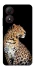 Чохол на ZTE Blade A34 4G Leopard v2 фото 1 з 1