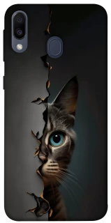 Чехол на Samsung Galaxy M20 Кот-подглядыватель v2 фото 1 из 1