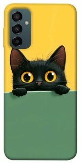 Чехол на Samsung Galaxy M14 5G Black cat v2 фото 1 из 1