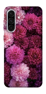 Чохол на Samsung Galaxy A36 5G Garden1 фото 1 з 1