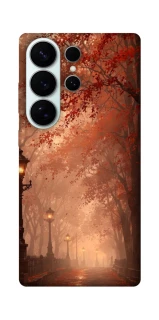 Чохол на Samsung Galaxy S26 Pro boulevard фото 1 з 1