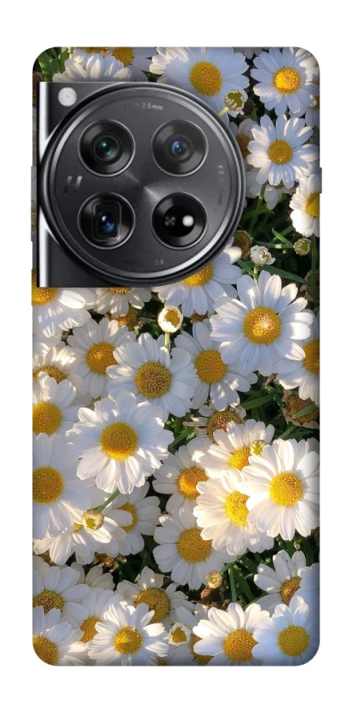 Чохол на OnePlus 12 Поле ромашок фото 1 з 1