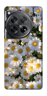 Чехол на OnePlus 12 Поле ромашек фото 1 из 1
