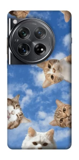 Чохол на OnePlus 12 Сats фото 1 з 1