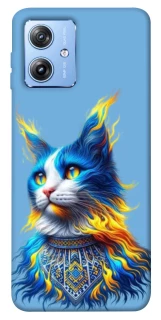 Чохол на Motorola Moto G84 Кіт патріот фото 1 з 1