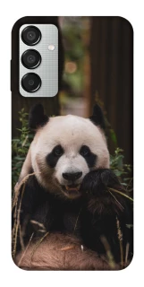 Чехол на Samsung Galaxy M15 5G Панда фото 1 из 1