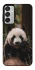 Чехол на Samsung Galaxy M15 5G Панда фото 1 из 1