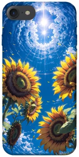 Чохол на Apple iPhone 7 / 8 (4.7") Sunflowers фото 1 з 1