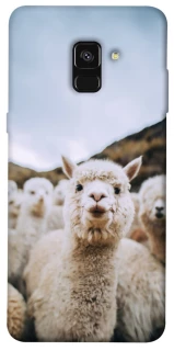 Чохол на Samsung A530 Galaxy A8 (2018) Лама фото 1 з 1