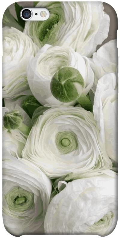 Чохол на Apple iPhone 6/6s plus (5.5") Mornings фото 1 з 1