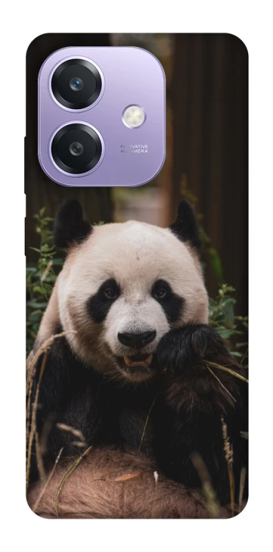 Чехол на Oppo A3X Панда фото 1 из 1