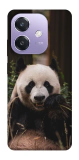 Чехол на Oppo A3X Панда фото 1 из 1