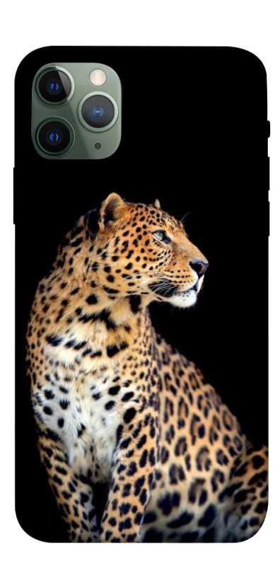 Чохол на Apple iPhone 11 Pro (5.8") Leopard v2 фото 1 з 1