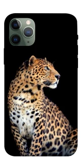 Чохол на Apple iPhone 11 Pro (5.8") Leopard v2 фото 1 з 1