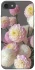 Чехол на Apple iPhone 7 / 8 (4.7") Flowers v2 фото 1 из 1