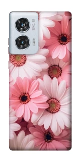 Чехол на Motorola Edge 50 Fusion Розовые цветы v2 фото 1 из 1