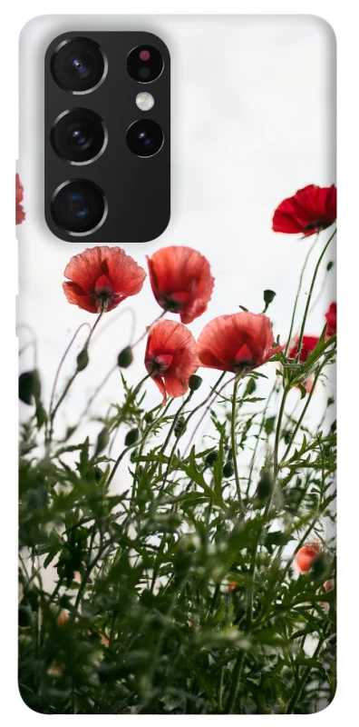 Чохол на Samsung Galaxy S21 Ultra Поле маків фото 1 з 1