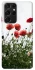 Чохол на Samsung Galaxy S21 Ultra Поле маків фото 1 з 1