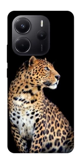 Чохол на Xiaomi Redmi Note 14 5G Leopard v2 фото 1 з 1