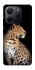 Чехол на Xiaomi Redmi Note 14 5G Leopard v2 фото 1 из 1