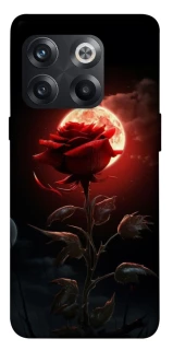 Чехол на OnePlus 10T Красная роза фото 1 из 1
