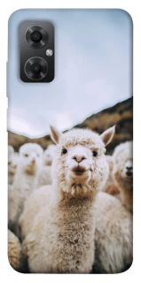 Чохол на Xiaomi Redmi Note 11R Лама фото 1 з 1