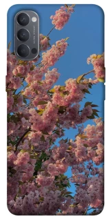 Чохол на Oppo Reno 4 Flowers v4 фото 1 з 1
