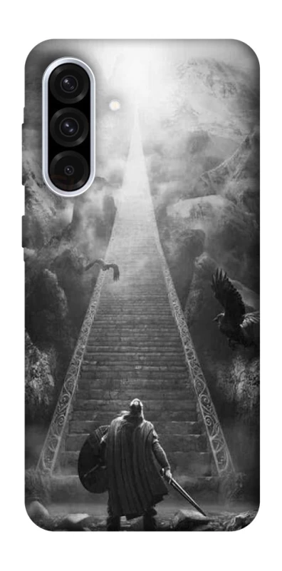 Чехол на Samsung Galaxy A36 5G Valhalla фото 1 из 1