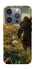 Чохол на Apple iPhone 16 Pro Orc фото 1 з 1
