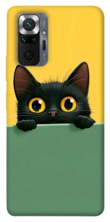Чехол на Xiaomi Redmi Note 10 Pro Black cat v2 фото 1 из 1