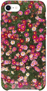 Чехол на Apple iPhone SE (2020) Flowers v8 фото 1 из 1