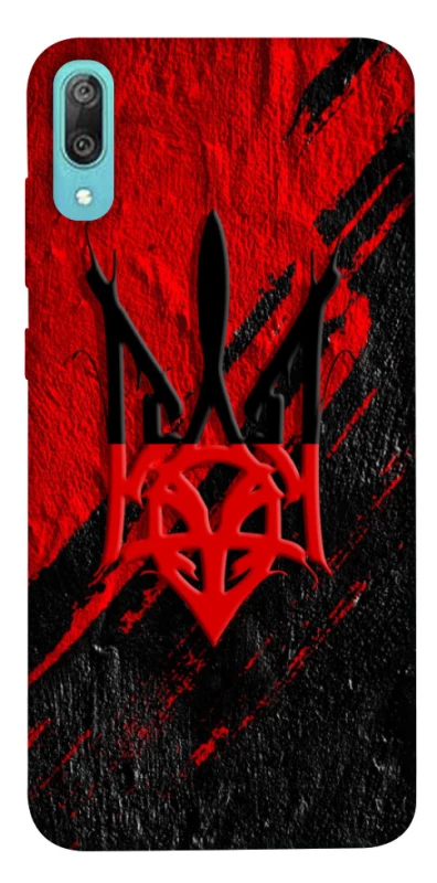 Чехол на Huawei Y6 Pro (2019) Герб v17 фото 1 из 1