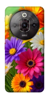 Чохол на ZTE Nubia Focus Pro Flowers v32 фото 1 з 1